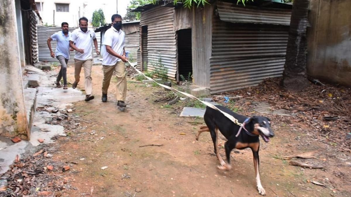 Sniffer dog helps police crack murder case in Davangere