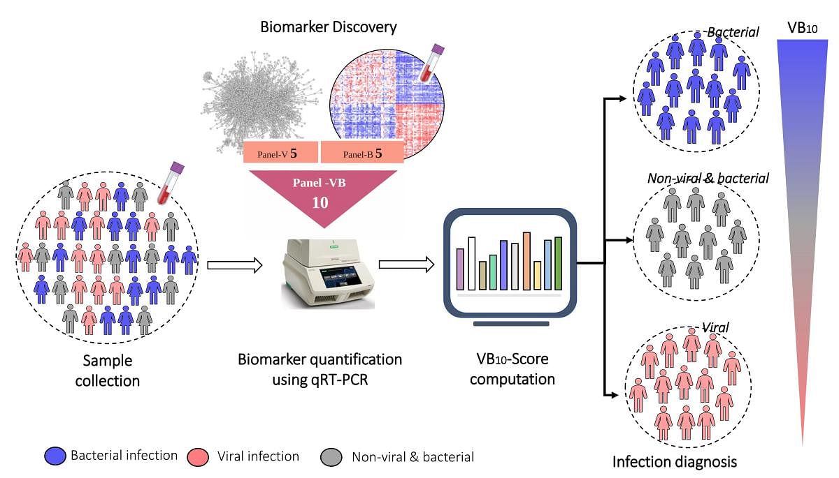 Biomarkers to distinguish between bacterial and viral infections 