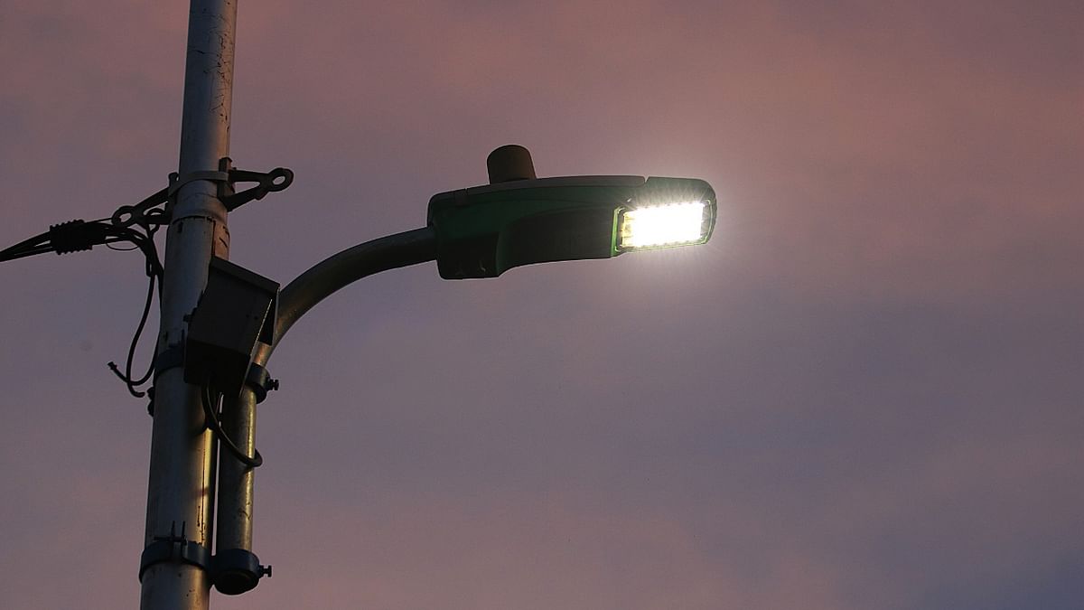 LED streetlights contribute to insect population declines: Study