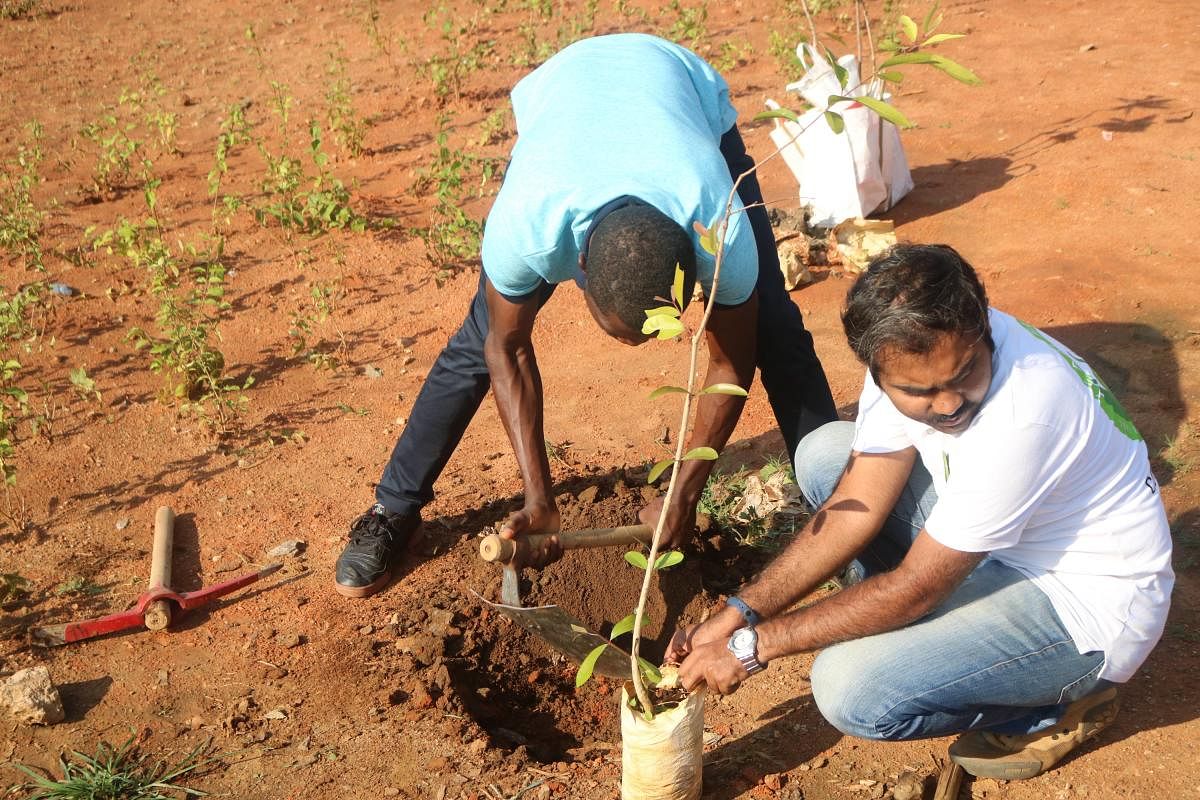 Want a greener Bengaluru? Project seeks crowdfunding