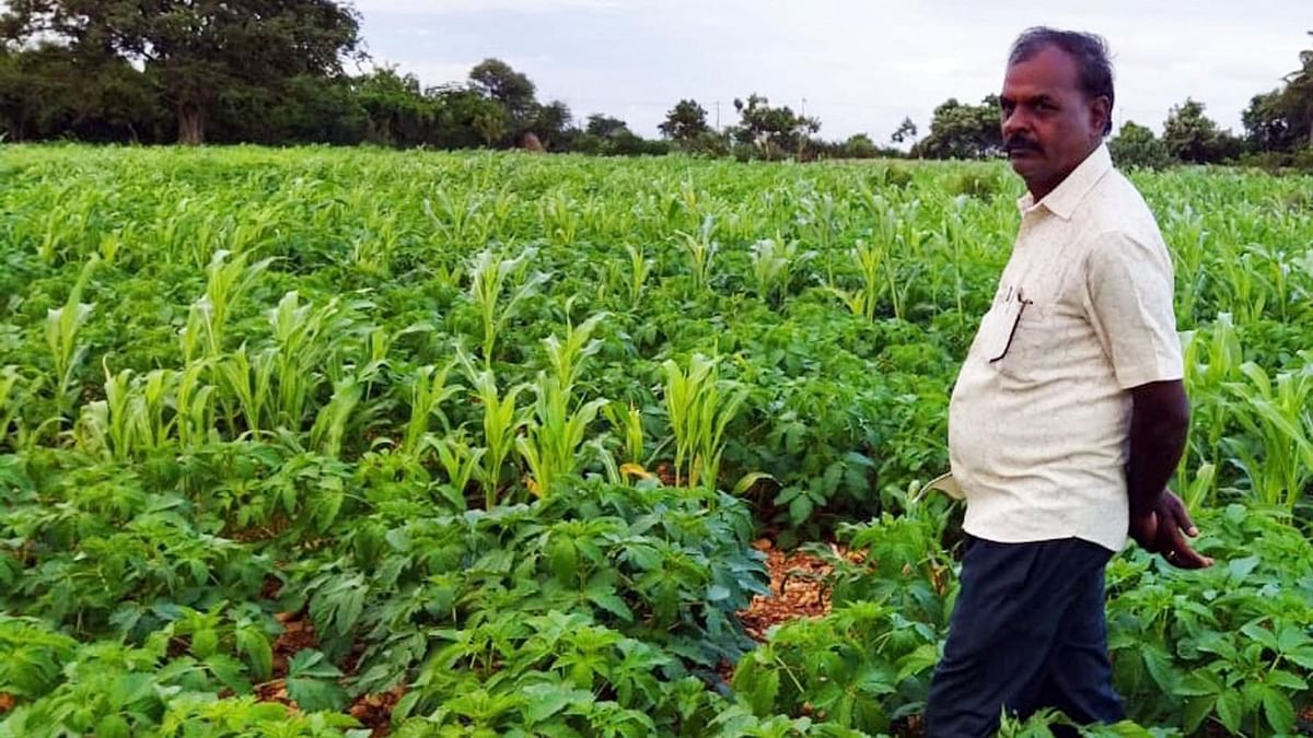 Karnataka govt plans internal audit to vet crop loans waived