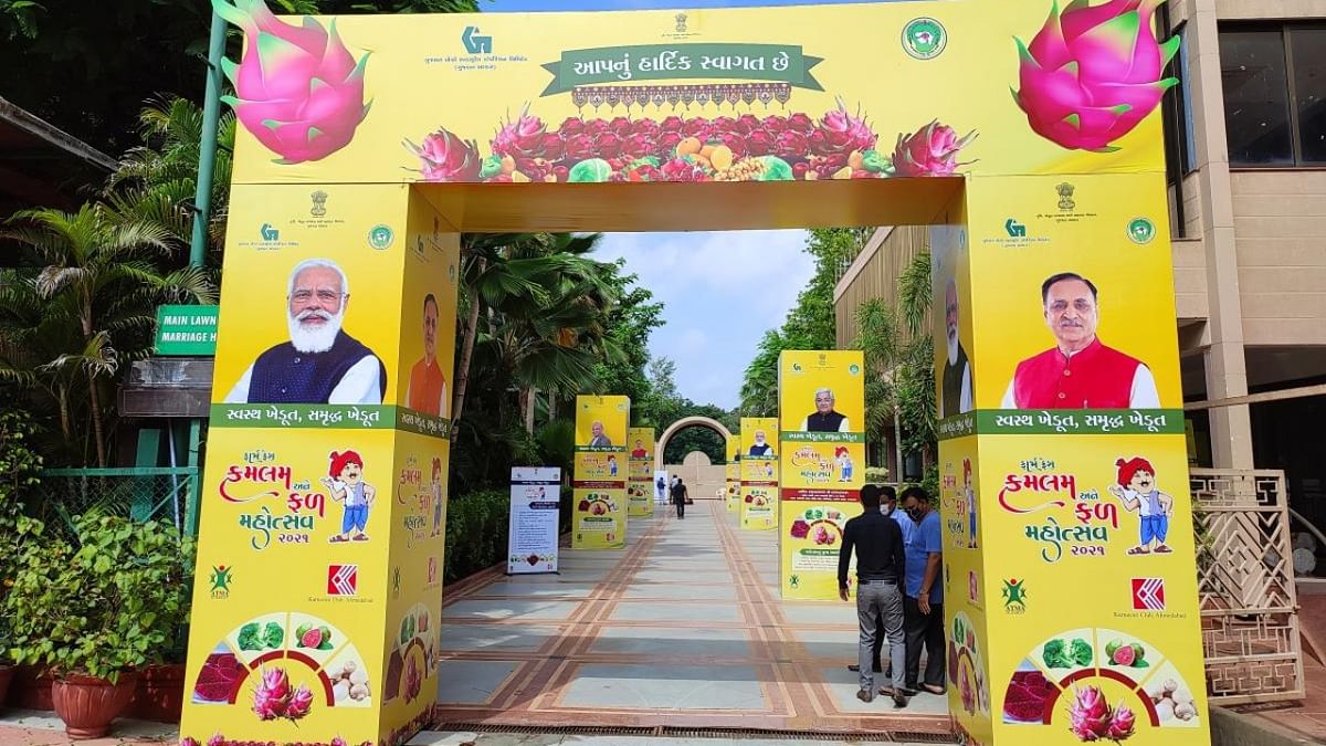 After rechristening dragon fruit, Gujarat govt kicks off first ever 'kamalam' farm festival