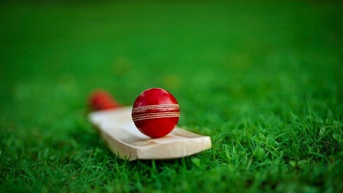 Finding a lost cricket ball