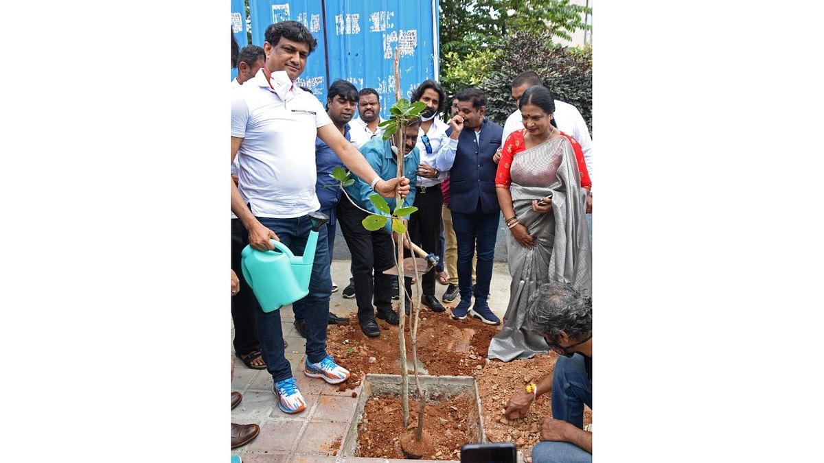 Bringing cashew trees back to Bengaluru's 'Jedi Mara' Junction