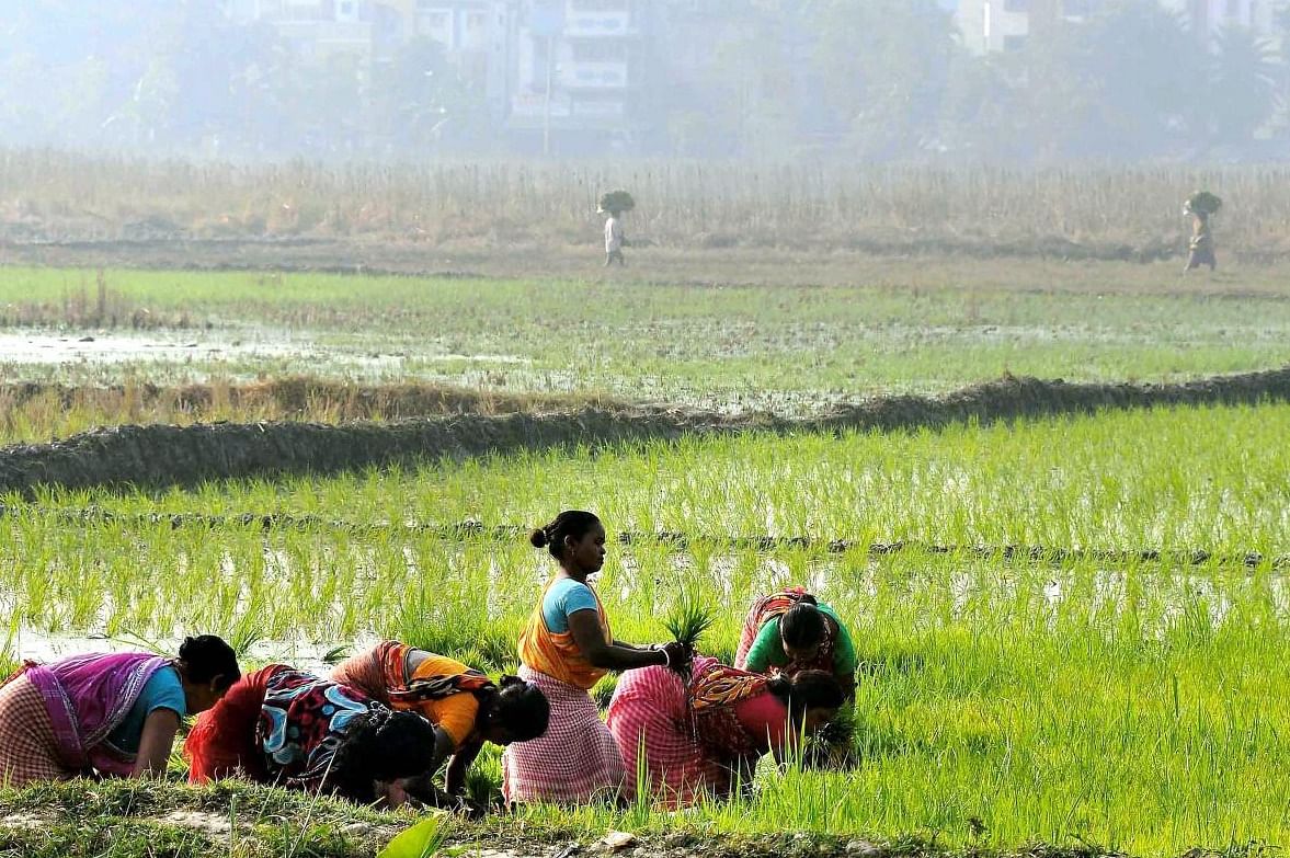 12-digit unique IDs for farmers to access government schemes: Report