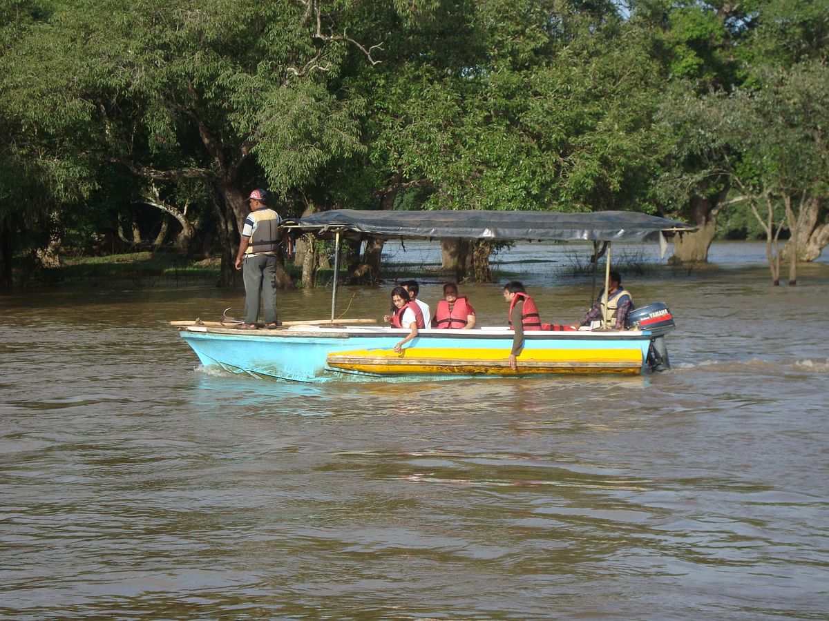 Dubare elephant camp needs more amenities