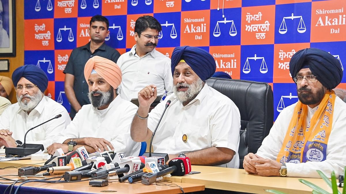 Akali Dal attacks Punjab govt for 'failing' to compensate cotton farmers hit by pink bollworm attack