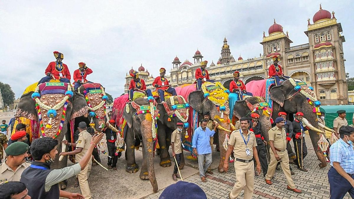 Dasara elephant Abhimanyu carries wooden howdah