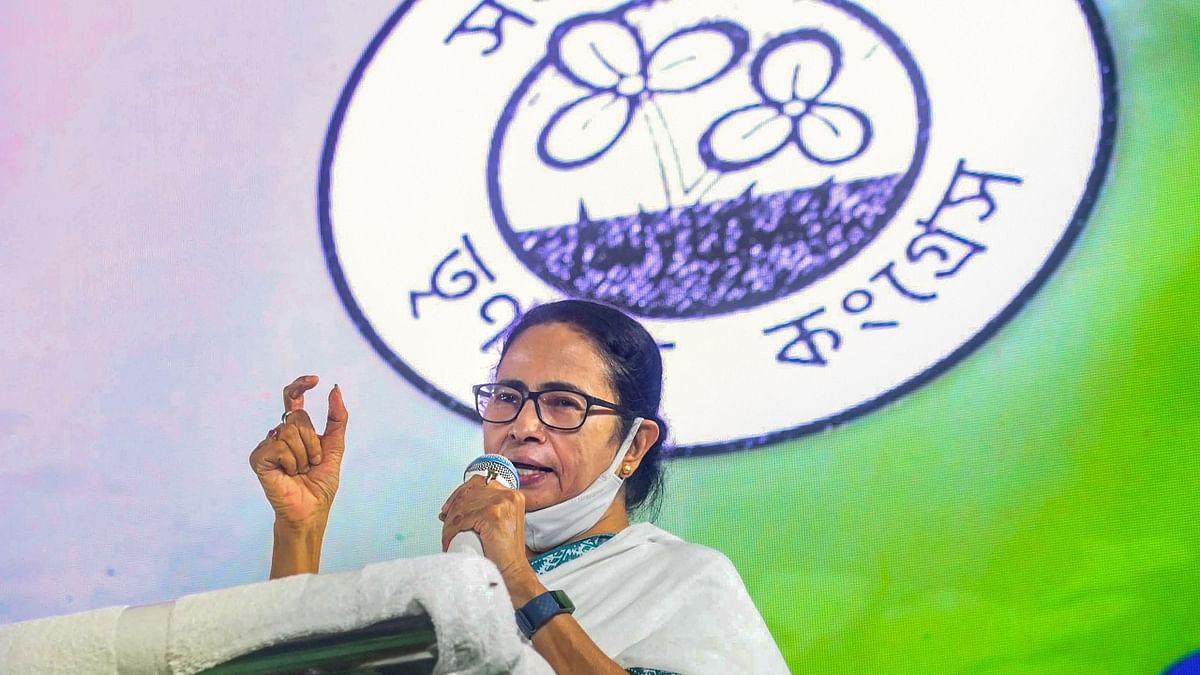 Mamata Banerjee, two other TMC MLAs take oath