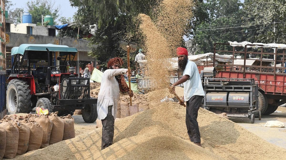 India considering UN World Food Programme's proposal for wheat donation to Afghanistan