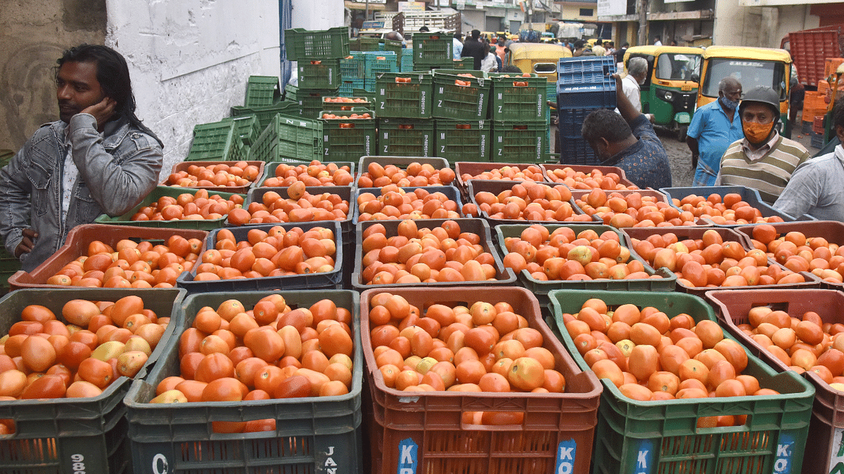 Tomato prices in Bengaluru shoot up from Rs 10 to Rs 60, may be edging towards Rs 100-mark