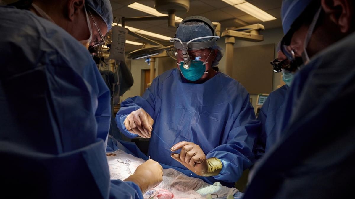 In a first, surgeons attached a pig kidney to a human — and it worked