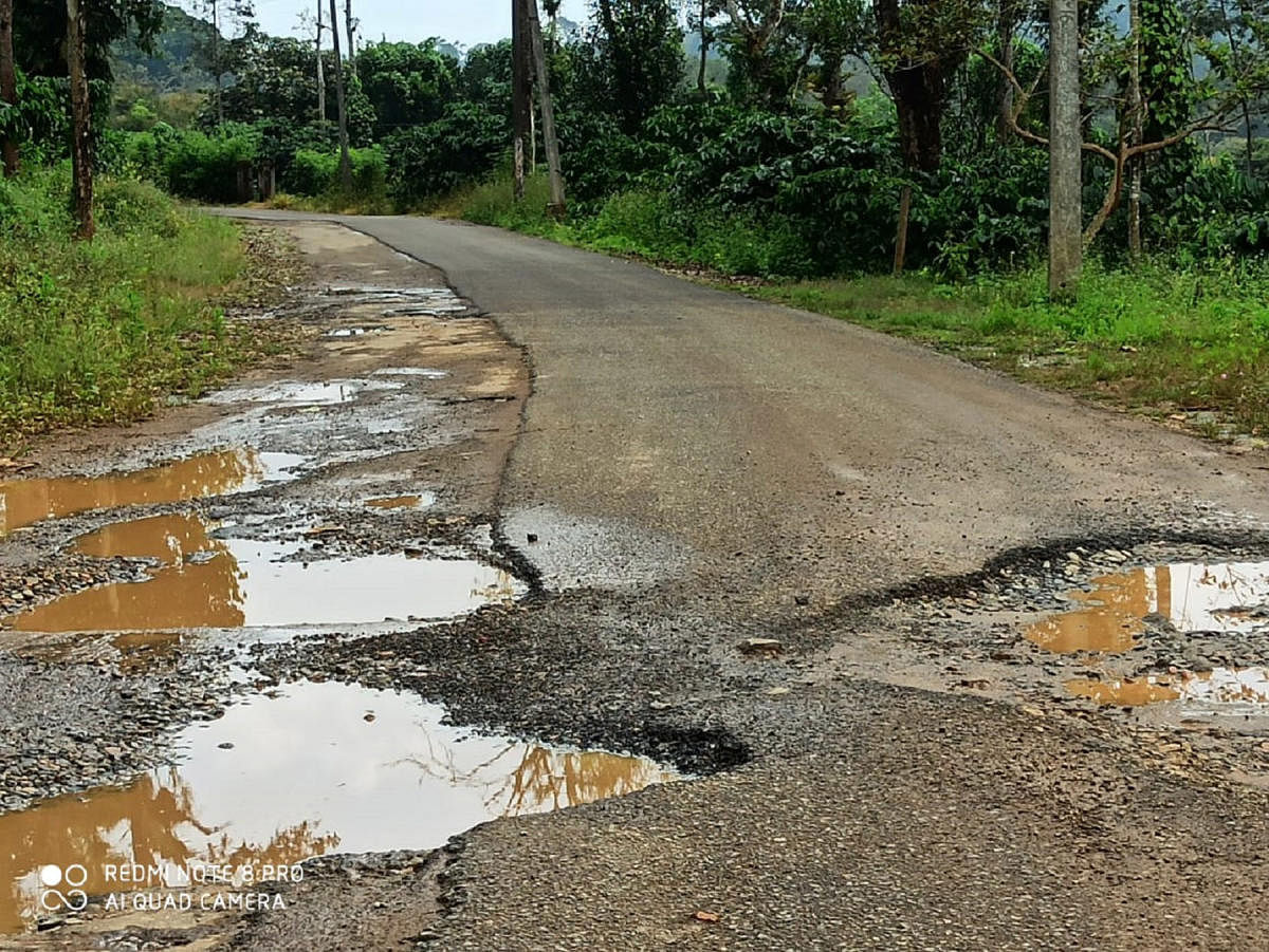 Villagers urge authorities to repair Parane-Napoklu Road