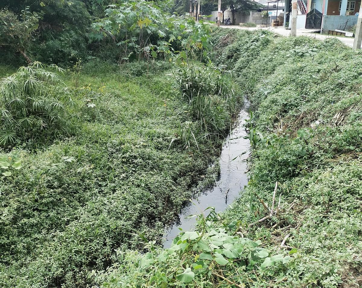 Poor drain management irks Kodagu residents