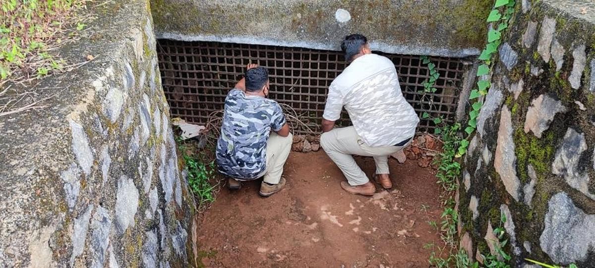 Seven cages placed to capture leopard near MIA