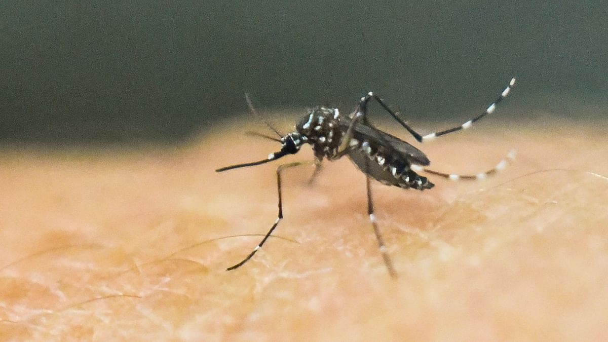 Unnao becomes 4th district in Uttar Pradesh to report Zika virus case