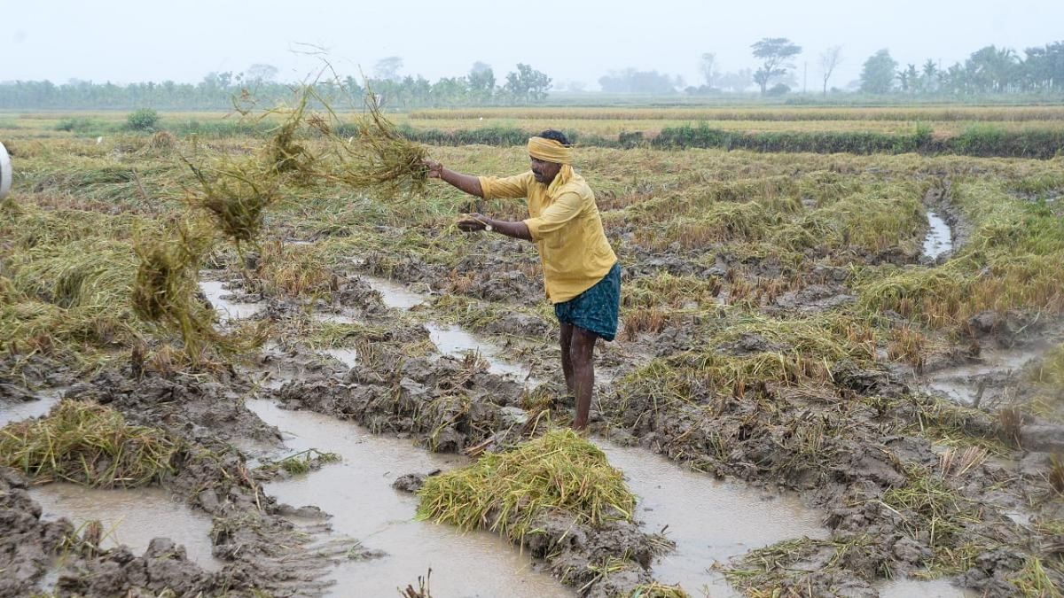 2.33 lakh hectares of crop, over 3.5K houses damaged in rain: Bommai