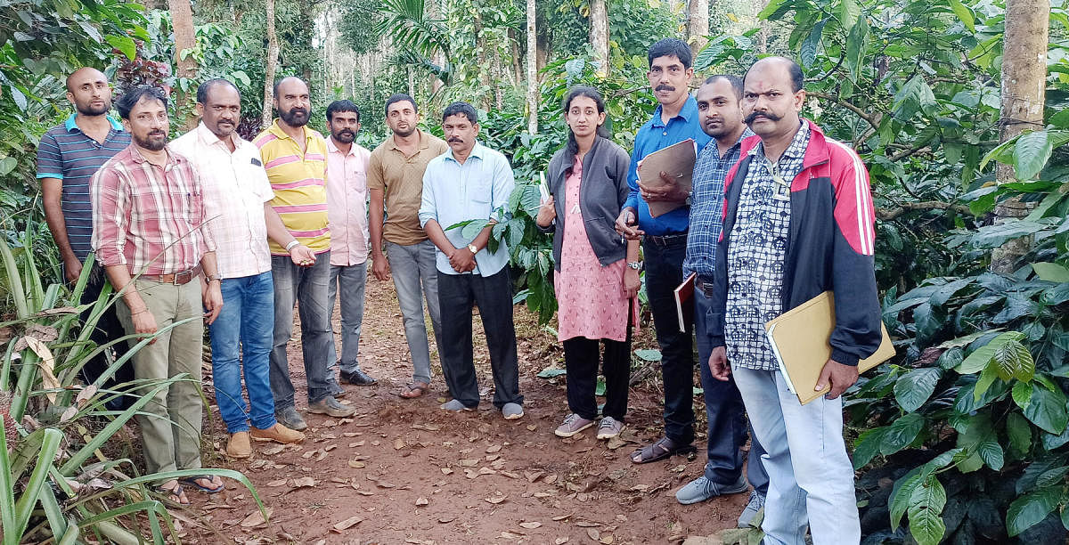 Officials conduct crop loss survey in Gonikoppa