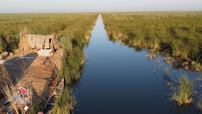10 water bodies in Delhi to be declared wetlands