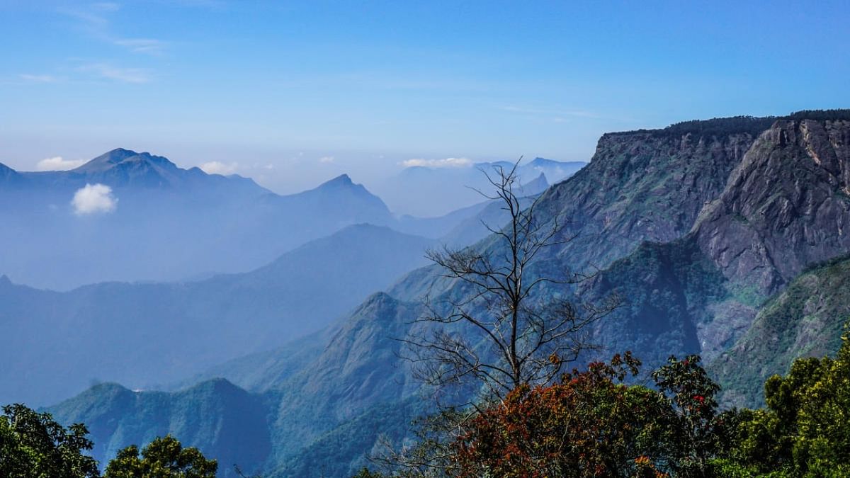 More tourist spots identified in Nilgiris district: TN Minister