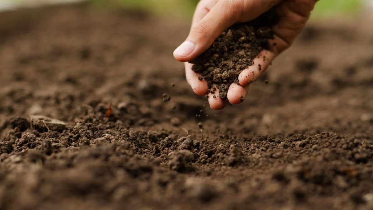 World Soil Day observed at Kasaragod ICAR