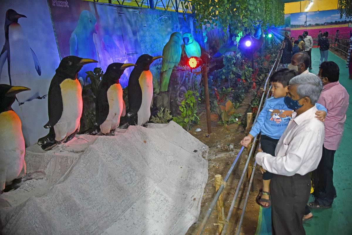 Show of robotic birds big draw among children