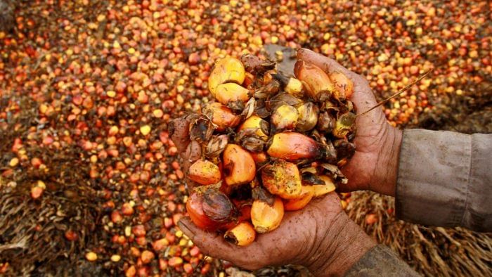 India's September palm oil imports fall by 33%