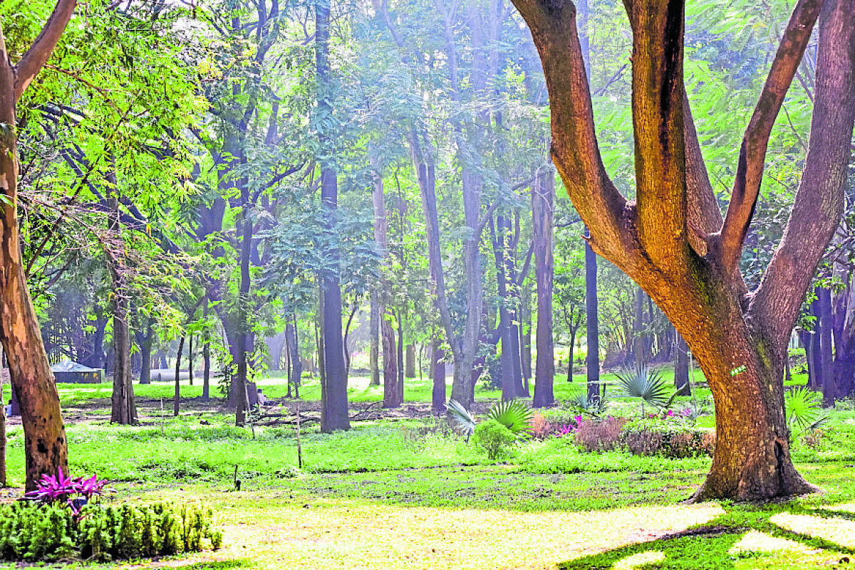 Heading to Cubbon Park? Keep these rules in mind