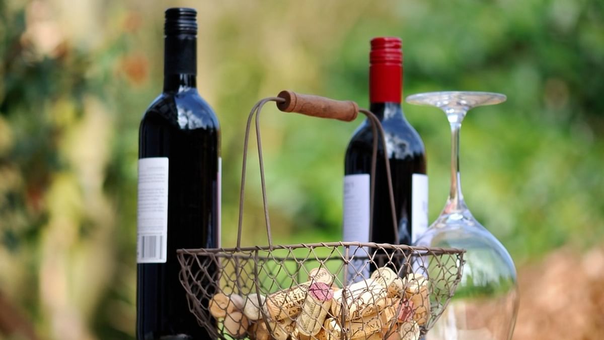 Appearance, aroma and mouthfeel: All you need to know to give wine tasting a go