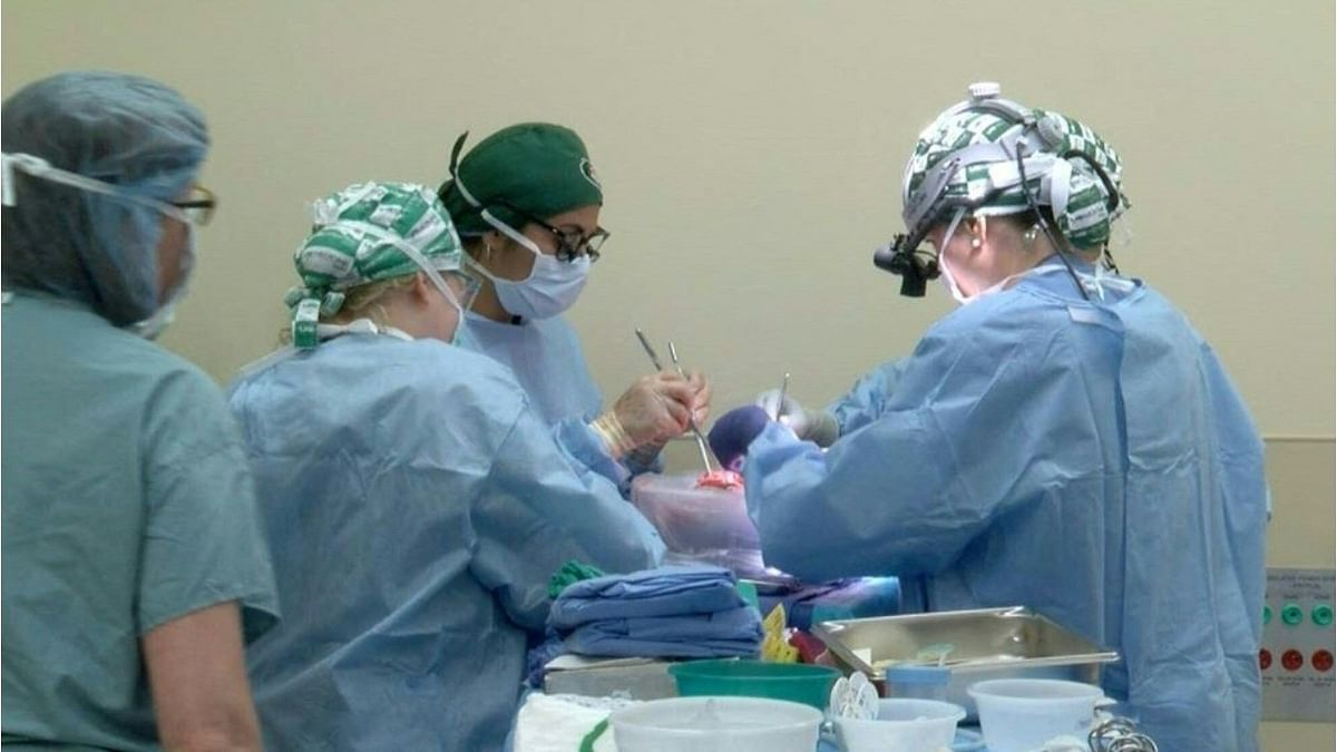 US medical team completes another pig-to-human kidney transplant