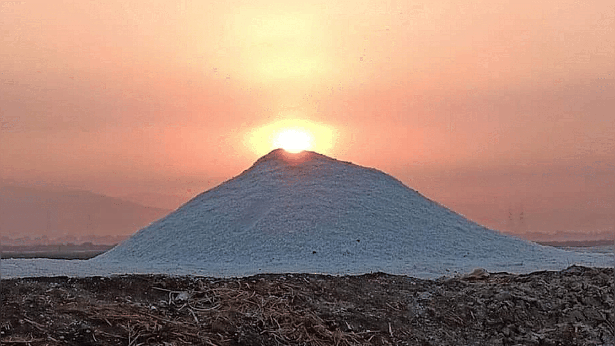 Two Maharashtra ministers reject proposal of salt pan development