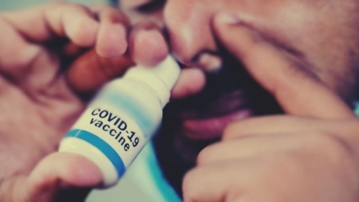 Glenmark's nasal spray for Covid-19 to cost Rs 850. Here's all you need to know