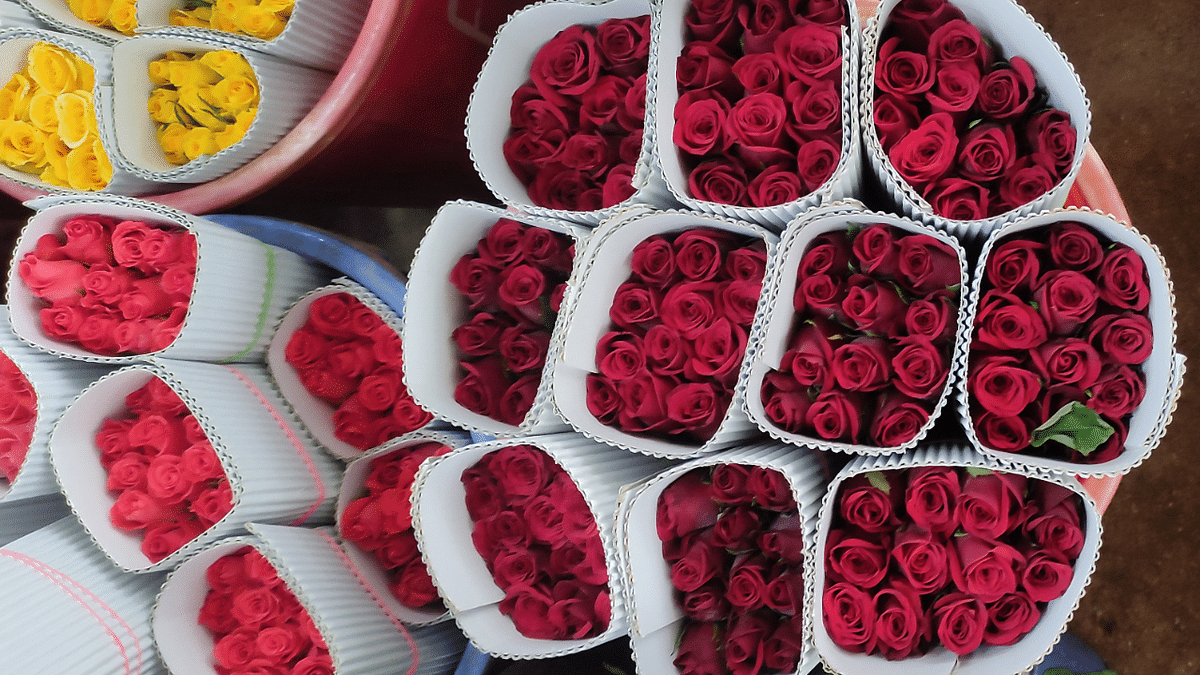 How Bengaluru fell in love with the rose