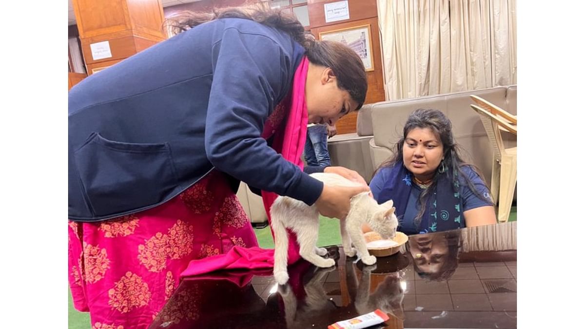 Karnataka Congress lawmakers protest with songs and a stray cat 