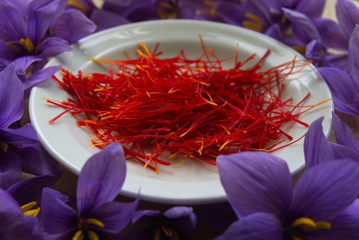 Saffron, the amorous spice