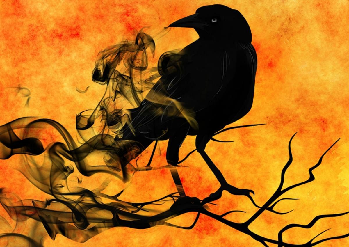 Why do the dead come back as crows?