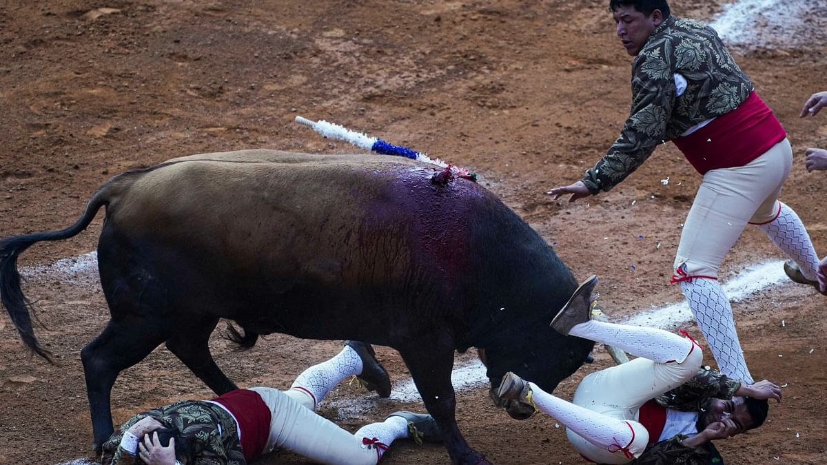 Mexico City, bastion of bullfighting, considers ban