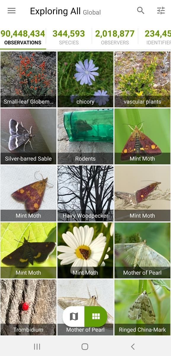 4 apps for nature-spotting