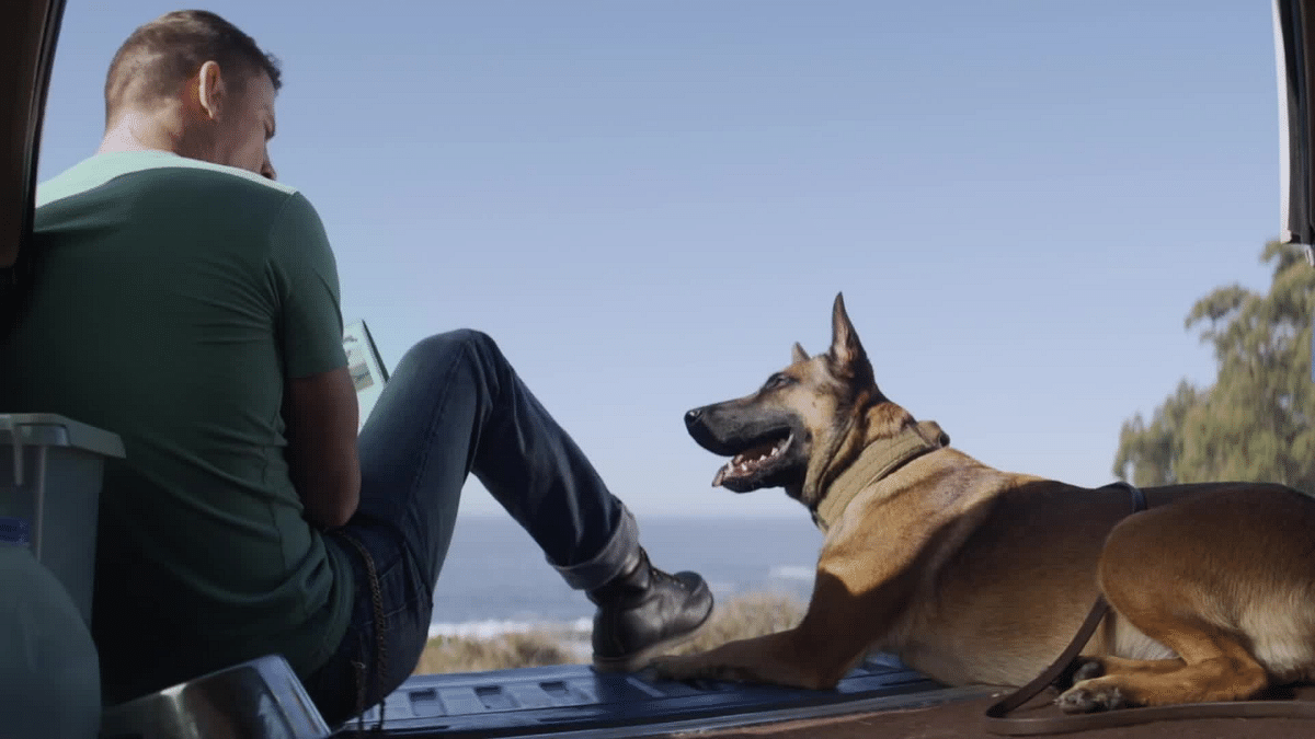 'Dog' movie review: Channing Tatum shines in touching comedy drama