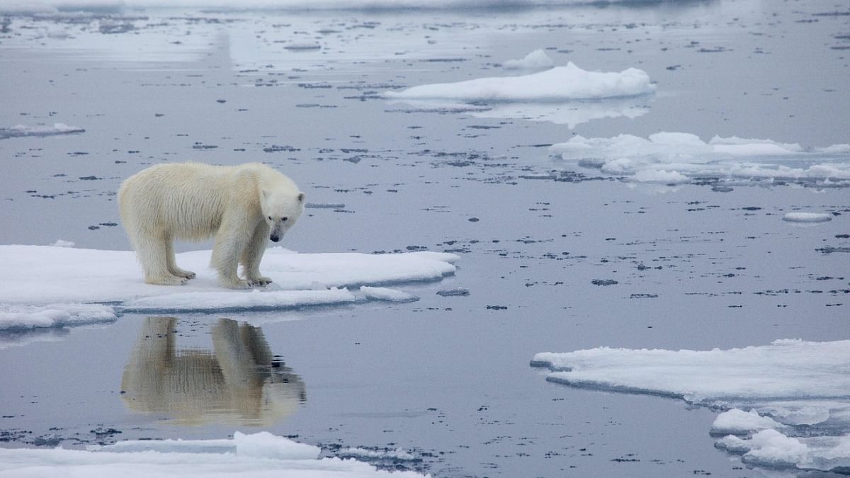 Centre releases India's Arctic Policy for sustainable development