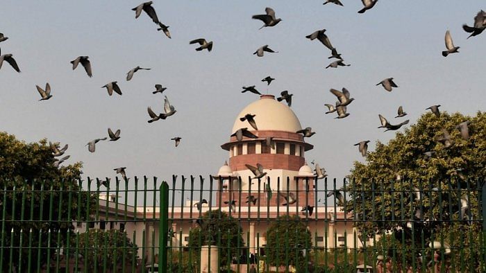 Muzaffarpur shelter home case: SC seeks report from Bihar govt on actions against officials