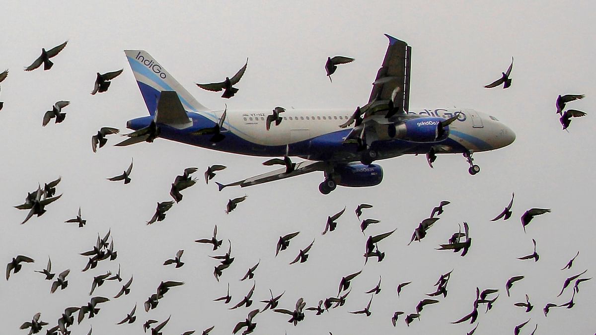 IndiGo suspends pilots for planning strike against pay cuts