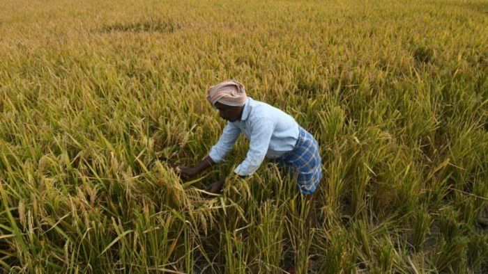As target date approaches, doubling of farmers' incomes still a distant dream