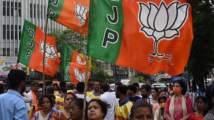 BJP leaders say time is right for 'One Nation One Language'