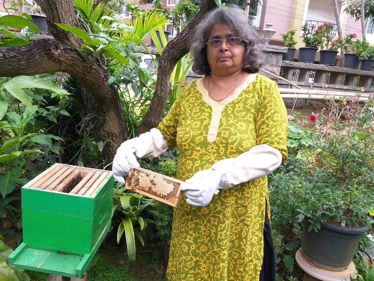 Bengalureans take up beekeeping as hobby