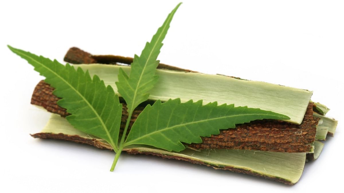 3 reasons to include neem in your skincare this summer