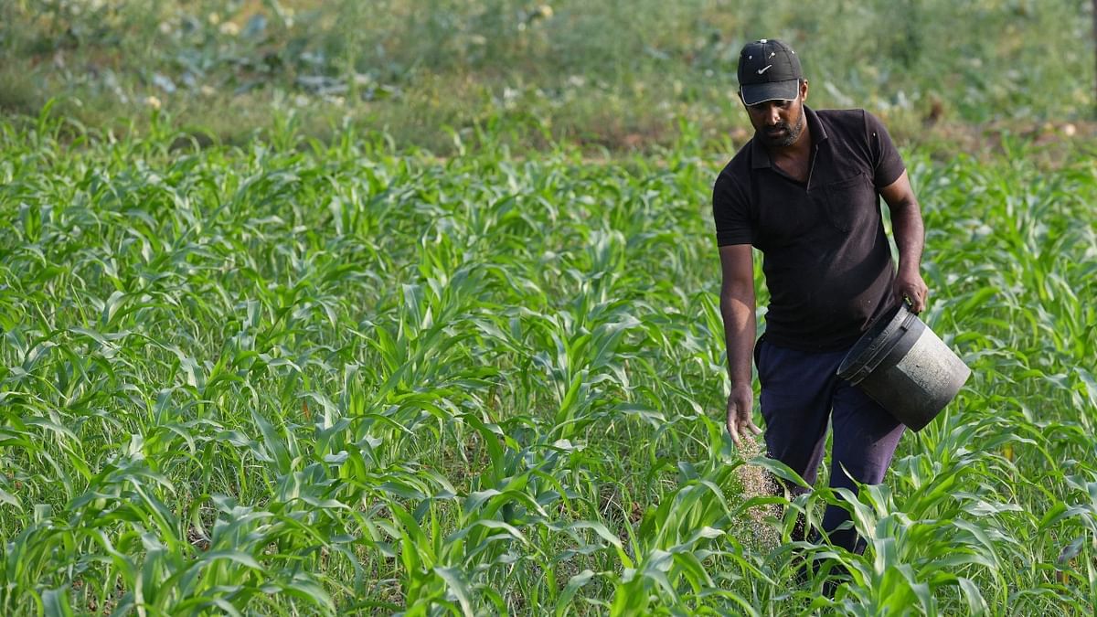 Crop diversity key to reducing hunger, malnutrition in India