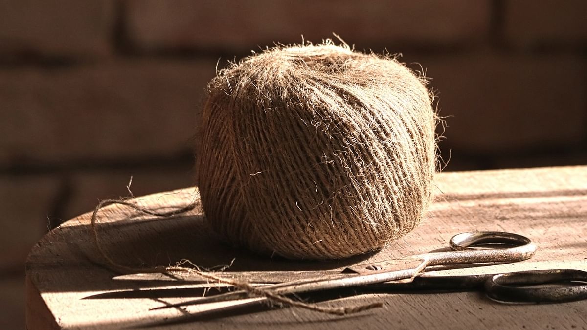Bengal BJP MP asks Centre to remove jute price ceiling