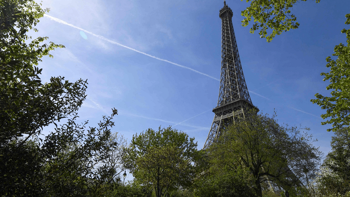 Parisians up in arms over plan to fell trees near Eiffel Tower