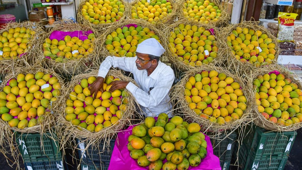 Goa's mankurado mango tastes better than Maharashtra's Alphonso: CM Sawant